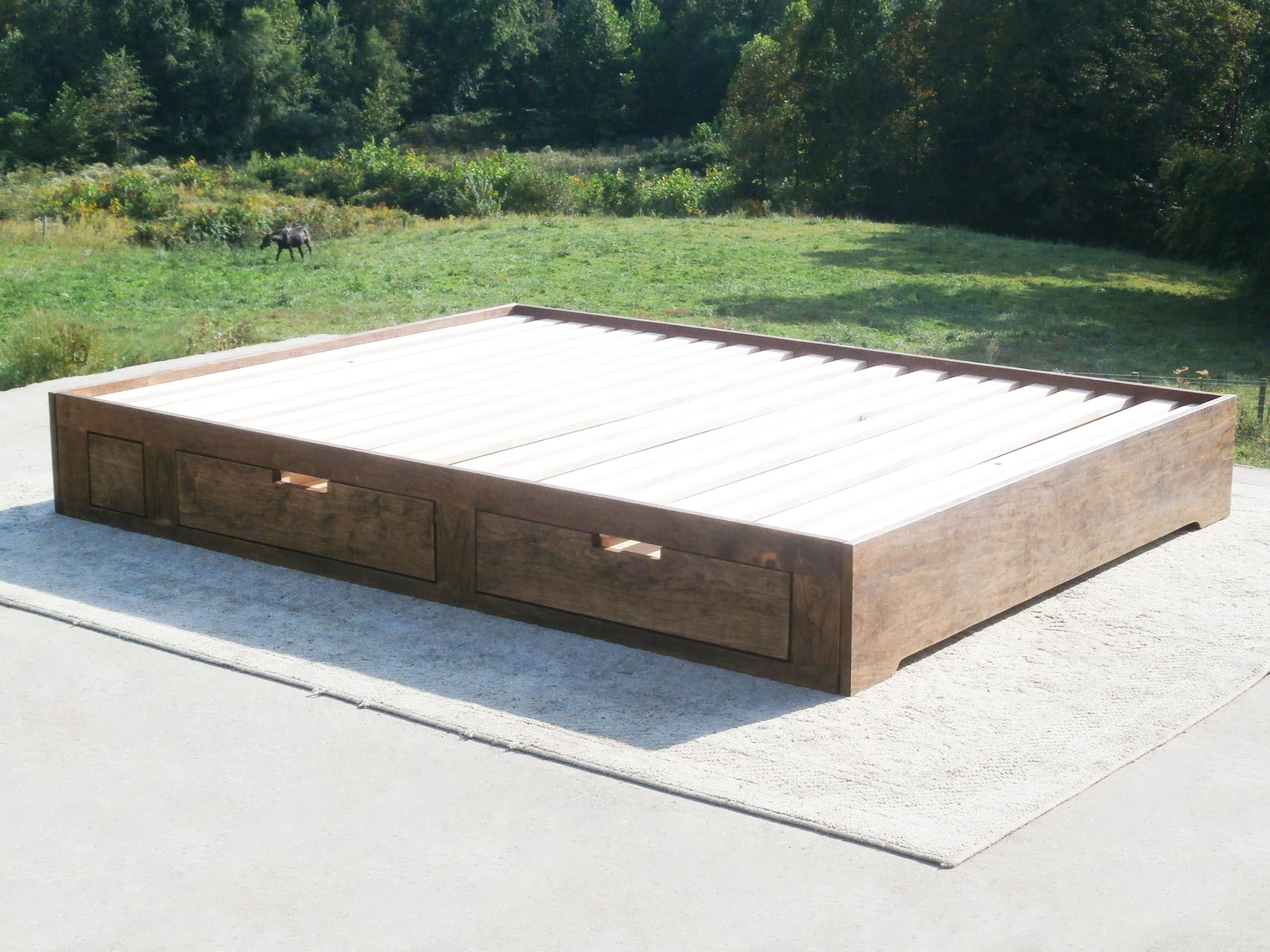 Low profile storage bed with 4 drawers NdFnN04