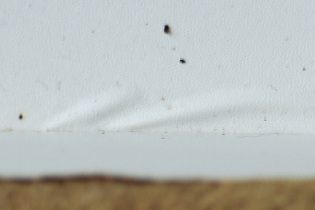 disadvantage of particle board